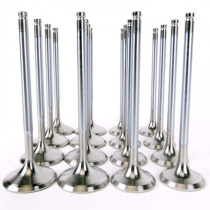 Honda D Series SOHC VTEC Alpha Valves STD Komp. 30mm / 26mm Skunk2